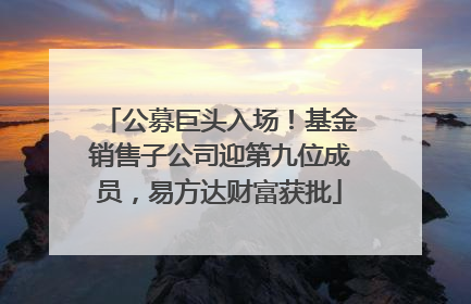 公募巨头入场！基金销售子公司迎第九位成员，易方达财富获批