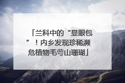 兰科中的“显眼包”！内乡发现珍稀濒危植物毛萼山珊瑚