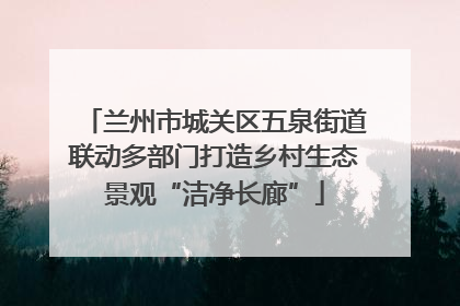 兰州市城关区五泉街道联动多部门打造乡村生态景观“洁净长廊”