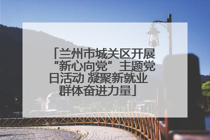 兰州市城关区开展“新心向党”主题党日活动 凝聚新就业群体奋进力量
