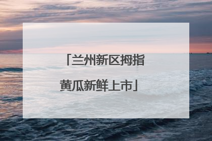 兰州新区拇指黄瓜新鲜上市