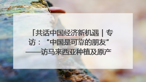 共话中国经济新机遇｜专访：“中国是可靠的朋友”——访马来西亚种植及原产业部副部长陈泓缣