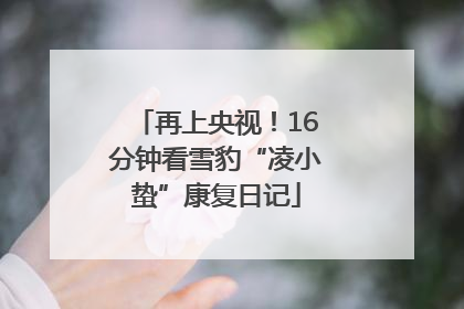 再上央视！16分钟看雪豹“凌小蛰”康复日记