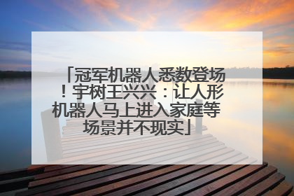 冠军机器人悉数登场！宇树王兴兴：让人形机器人马上进入家庭等场景并不现实