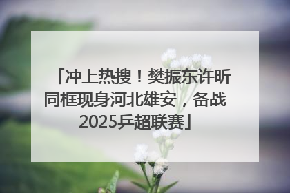 冲上热搜！樊振东许昕同框现身河北雄安，备战2025乒超联赛