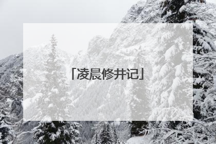 凌晨修井记