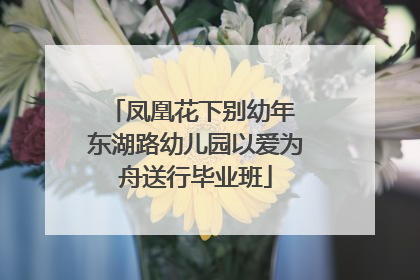 凤凰花下别幼年 东湖路幼儿园以爱为舟送行毕业班