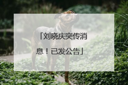 刘晓庆突传消息！已发公告