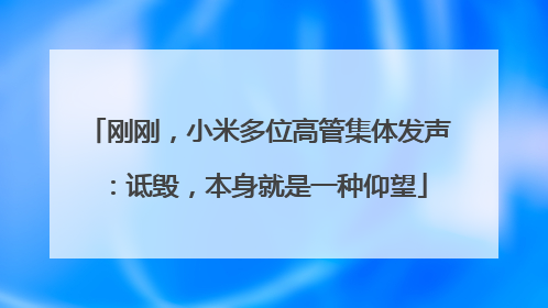 刚刚，小米多位高管集体发声：诋毁，本身就是一种仰望