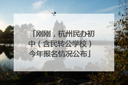 刚刚，杭州民办初中（含民转公学校）今年报名情况公布