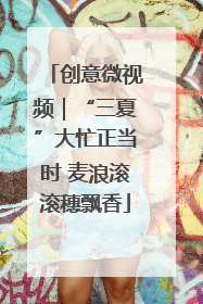 创意微视频｜“三夏”大忙正当时 麦浪滚滚穗飘香