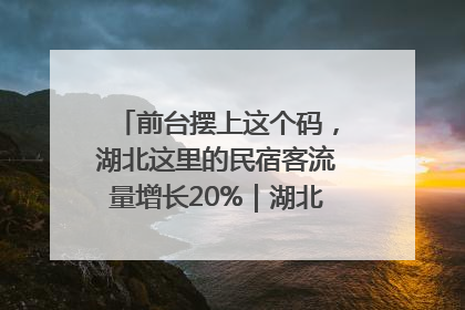 前台摆上这个码，湖北这里的民宿客流量增长20%｜湖北市场监管所的故事