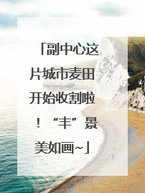 副中心这片城市麦田开始收割啦！“丰”景美如画~