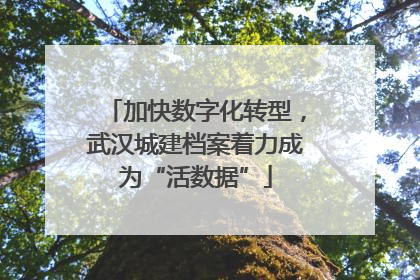 加快数字化转型，武汉城建档案着力成为“活数据”