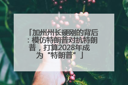 加州州长硬刚的背后：模仿特朗普对抗特朗普，打算2028年成为“特朗普”