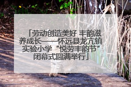 劳动创造美好 丰韵滋养成长——怀远县龙亢镇实验小学“悦劳丰韵节”闭幕式圆满举行