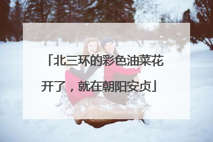 北三环的彩色油菜花开了，就在朝阳安贞