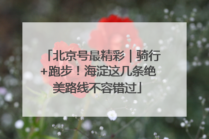 北京号最精彩｜骑行+跑步！海淀这几条绝美路线不容错过