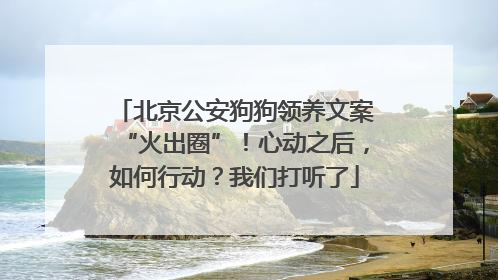 北京公安狗狗领养文案“火出圈”！心动之后，如何行动？我们打听了