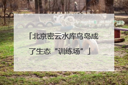 北京密云水库鸟岛成了生态“训练场”