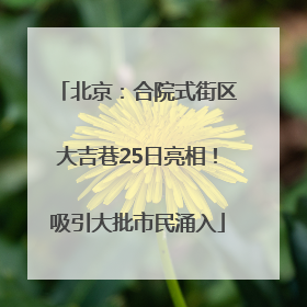 北京：合院式街区大吉巷25日亮相！吸引大批市民涌入