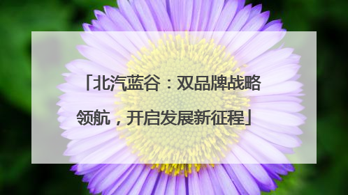 北汽蓝谷：双品牌战略领航，开启发展新征程
