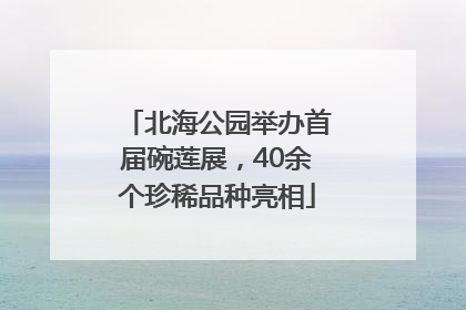 北海公园举办首届碗莲展，40余个珍稀品种亮相