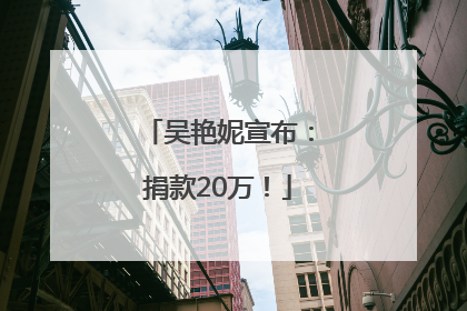 吴艳妮宣布：捐款20万！