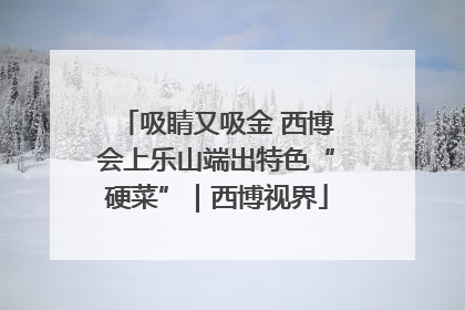 吸睛又吸金 西博会上乐山端出特色“硬菜”｜西博视界