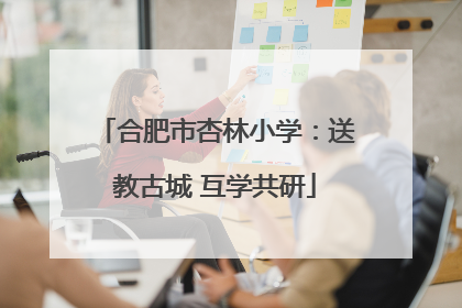 合肥市杏林小学：送教古城 互学共研