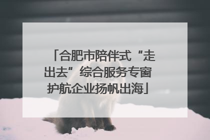 合肥市陪伴式“走出去”综合服务专窗护航企业扬帆出海