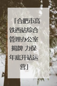 合肥市高铁西站综合管理办公室揭牌 力保年底开站运营