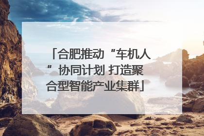 合肥推动“车机人”协同计划 打造聚合型智能产业集群