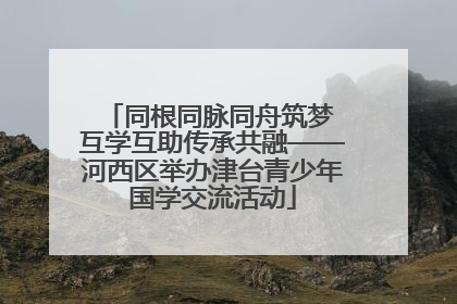 同根同脉同舟筑梦 互学互助传承共融——河西区举办津台青少年国学交流活动