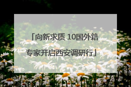 向新求质 10国外籍专家开启西安调研行