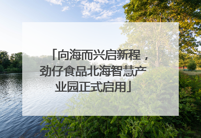 向海而兴启新程，劲仔食品北海智慧产业园正式启用