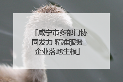 咸宁市多部门协同发力 精准服务企业落地生根