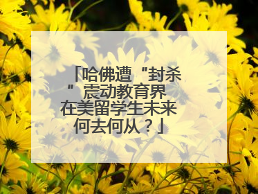 哈佛遭“封杀”震动教育界 在美留学生未来何去何从？