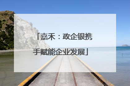 嘉禾：政企银携手赋能企业发展