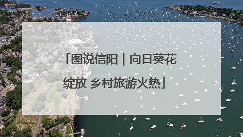 图说信阳｜向日葵花绽放 乡村旅游火热