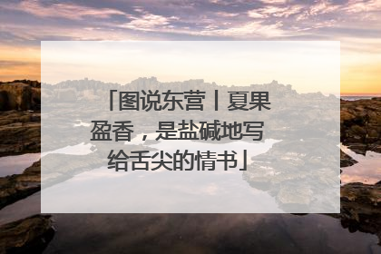 图说东营丨夏果盈香，是盐碱地写给舌尖的情书