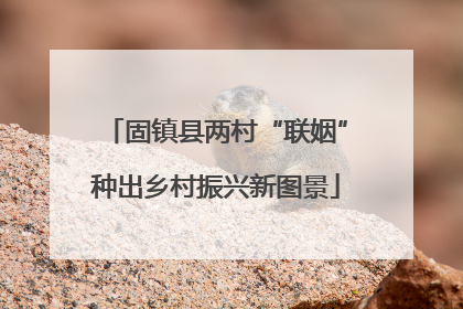 固镇县两村“联姻”种出乡村振兴新图景