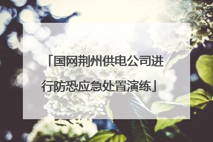 国网荆州供电公司进行防恐应急处置演练