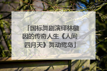 国标舞剧演绎林徽因的传奇人生《人间四月天》舞动鹭岛