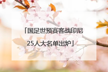 国足世预赛客战印尼25人大名单出炉