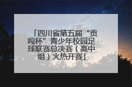四川省第五届“贡嘎杯”青少年校园足球联赛总决赛（高中组）火热开赛