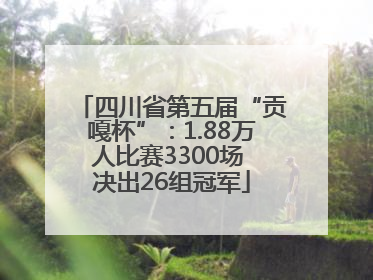 四川省第五届“贡嘎杯”：1.88万人比赛3300场 决出26组冠军