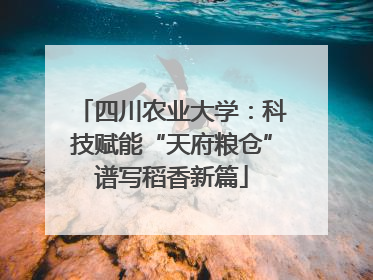 四川农业大学：科技赋能“天府粮仓”谱写稻香新篇