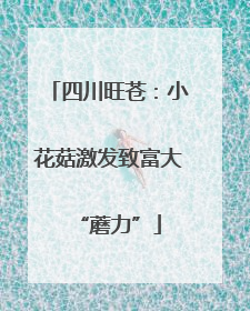 四川旺苍：小花菇激发致富大“蘑力”