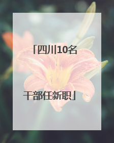四川10名干部任新职
